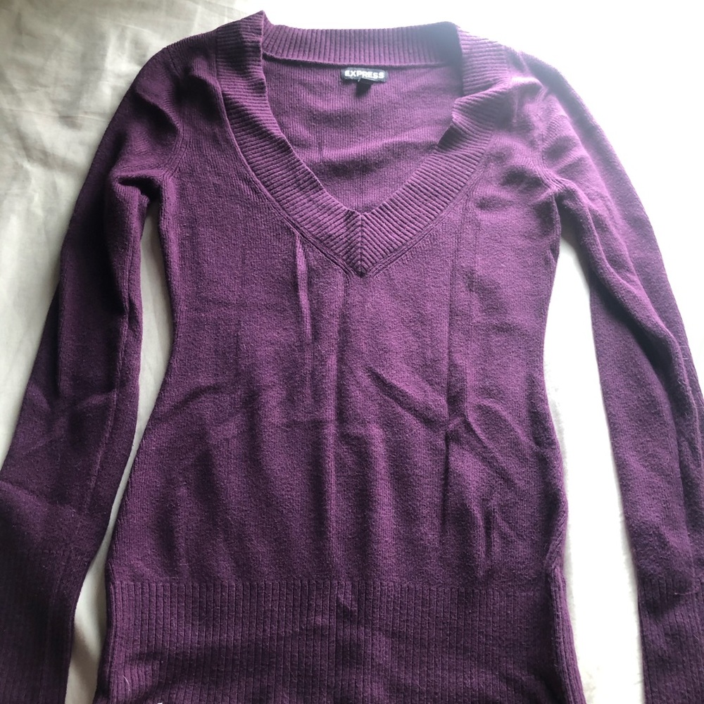 Express Purple V-Neck Sweater.